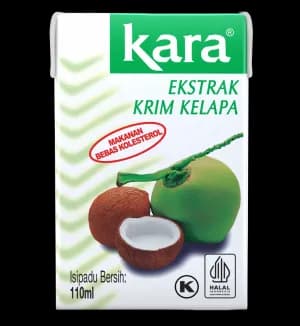 Kara Coconut Milk 110ml